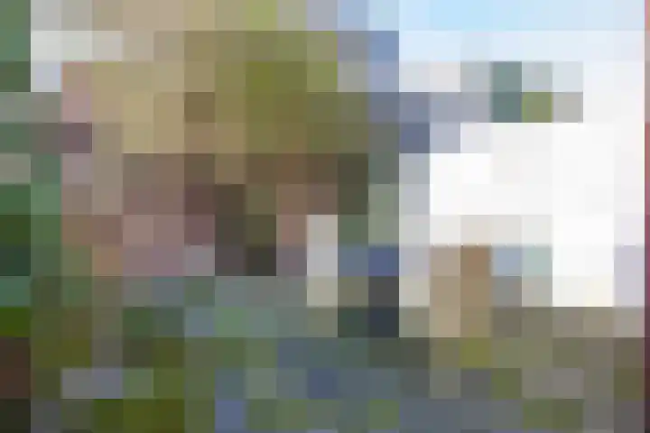 Generaal Bothastraat 7 Haarlem thumbnail 18