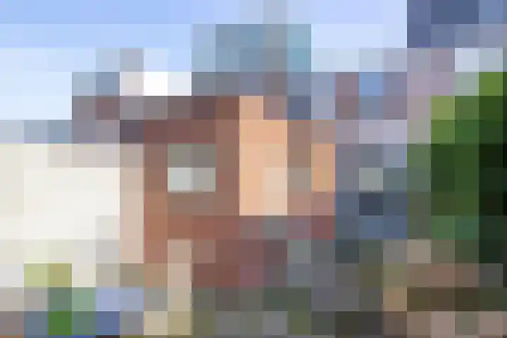 Generaal Bothastraat 7 Haarlem thumbnail 20