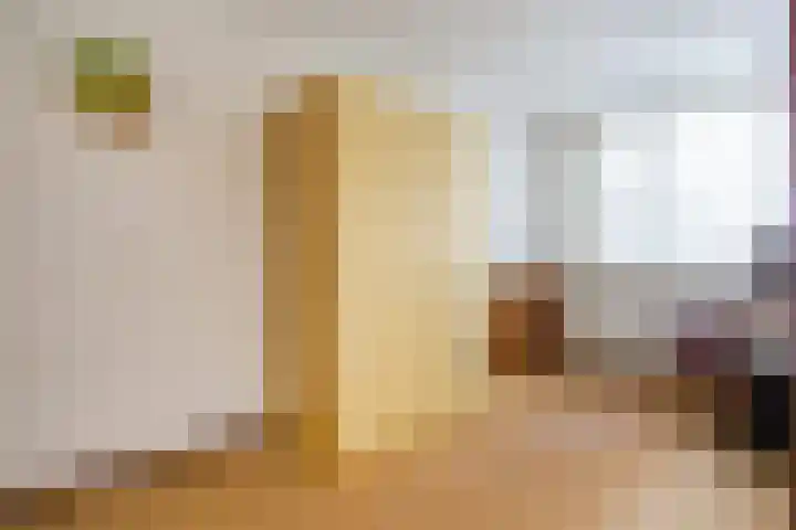 Generaal Bothastraat 7 Haarlem thumbnail 26