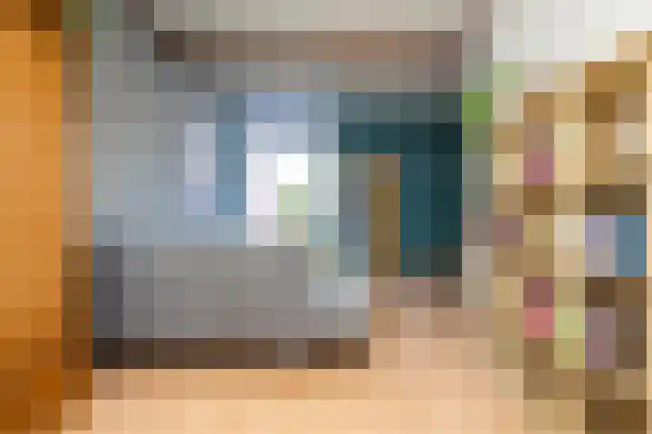 Generaal Bothastraat 7 Haarlem thumbnail 5