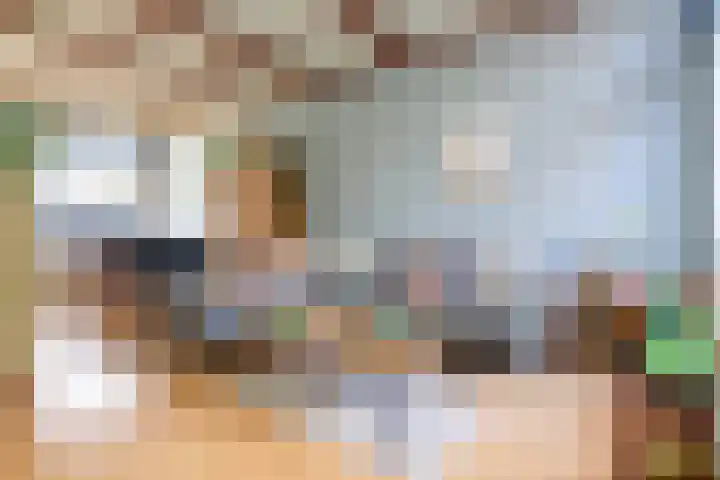 Generaal Bothastraat 7 Haarlem thumbnail 8