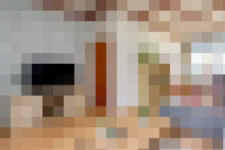 Generaal Bothastraat 7 Haarlem thumbnail 9