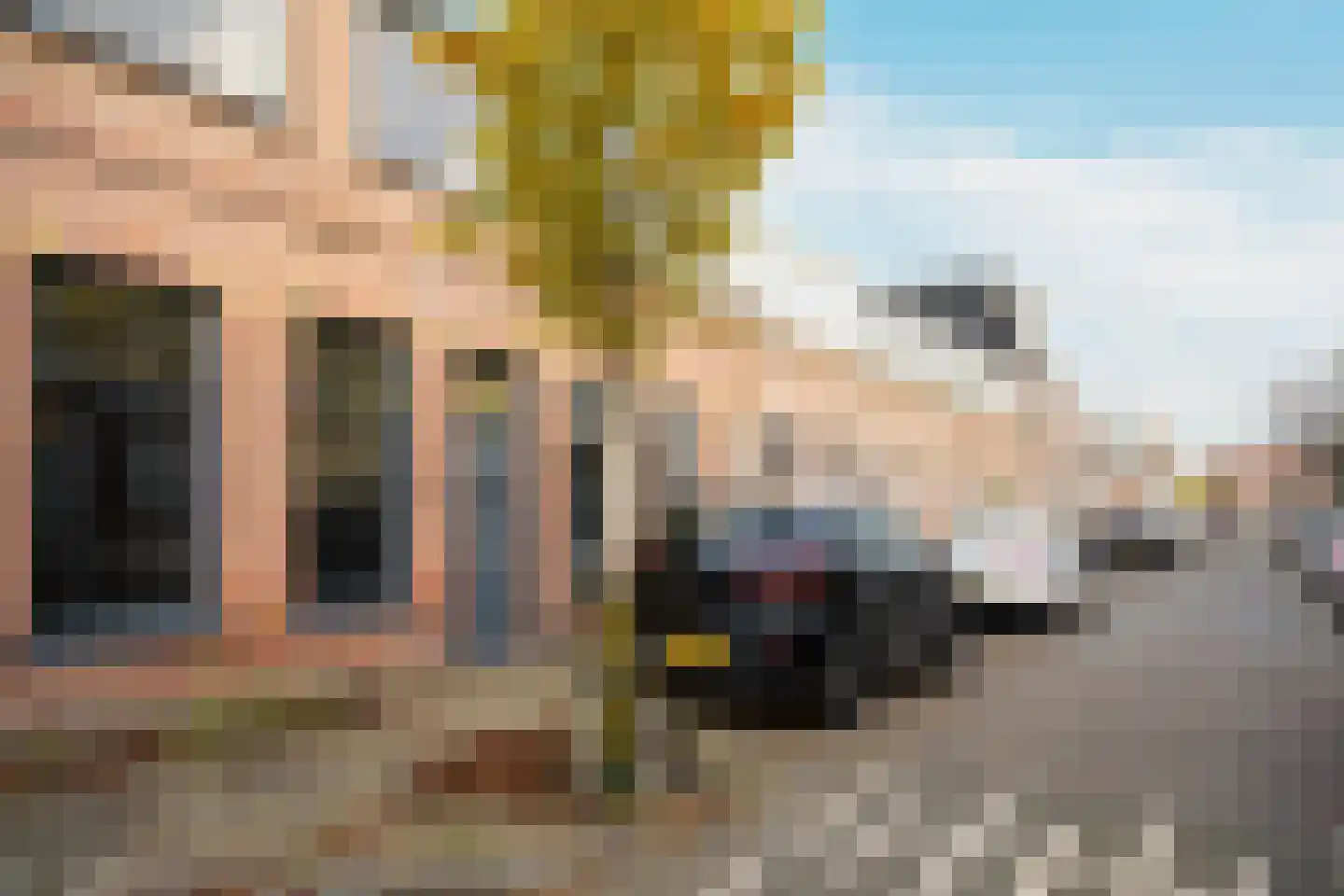 Generaal Bothastraat 83 Haarlem thumbnail 41