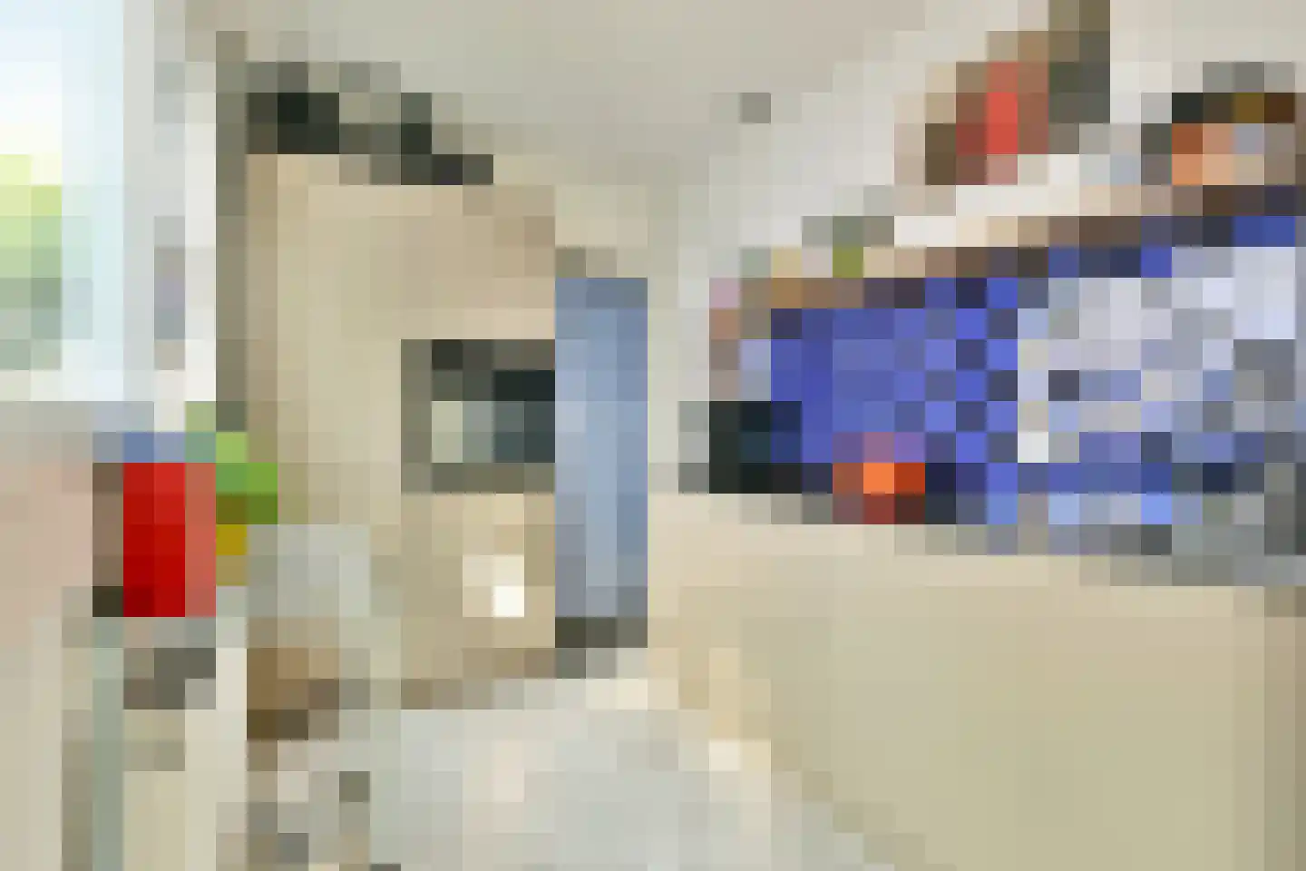Generaal Bothastraat 91 Haarlem thumbnail 8
