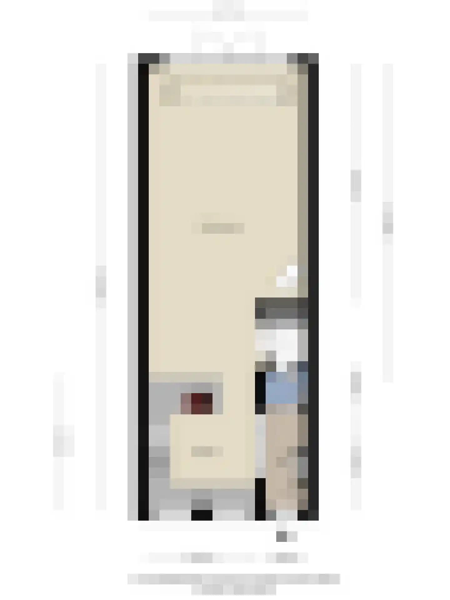 Generaal Bothastraat 95 Haarlem thumbnail 43