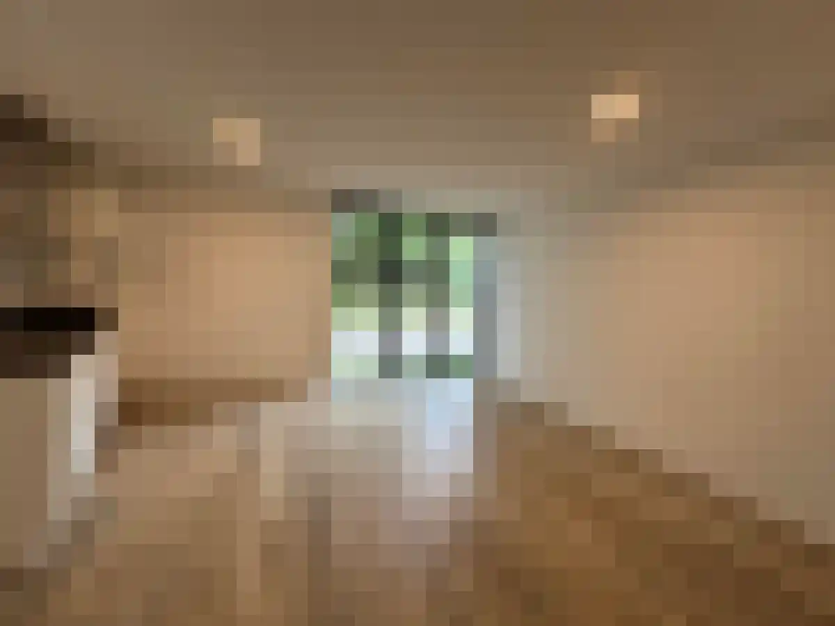 Generaal Bothastraat Eindhoven thumbnail 4