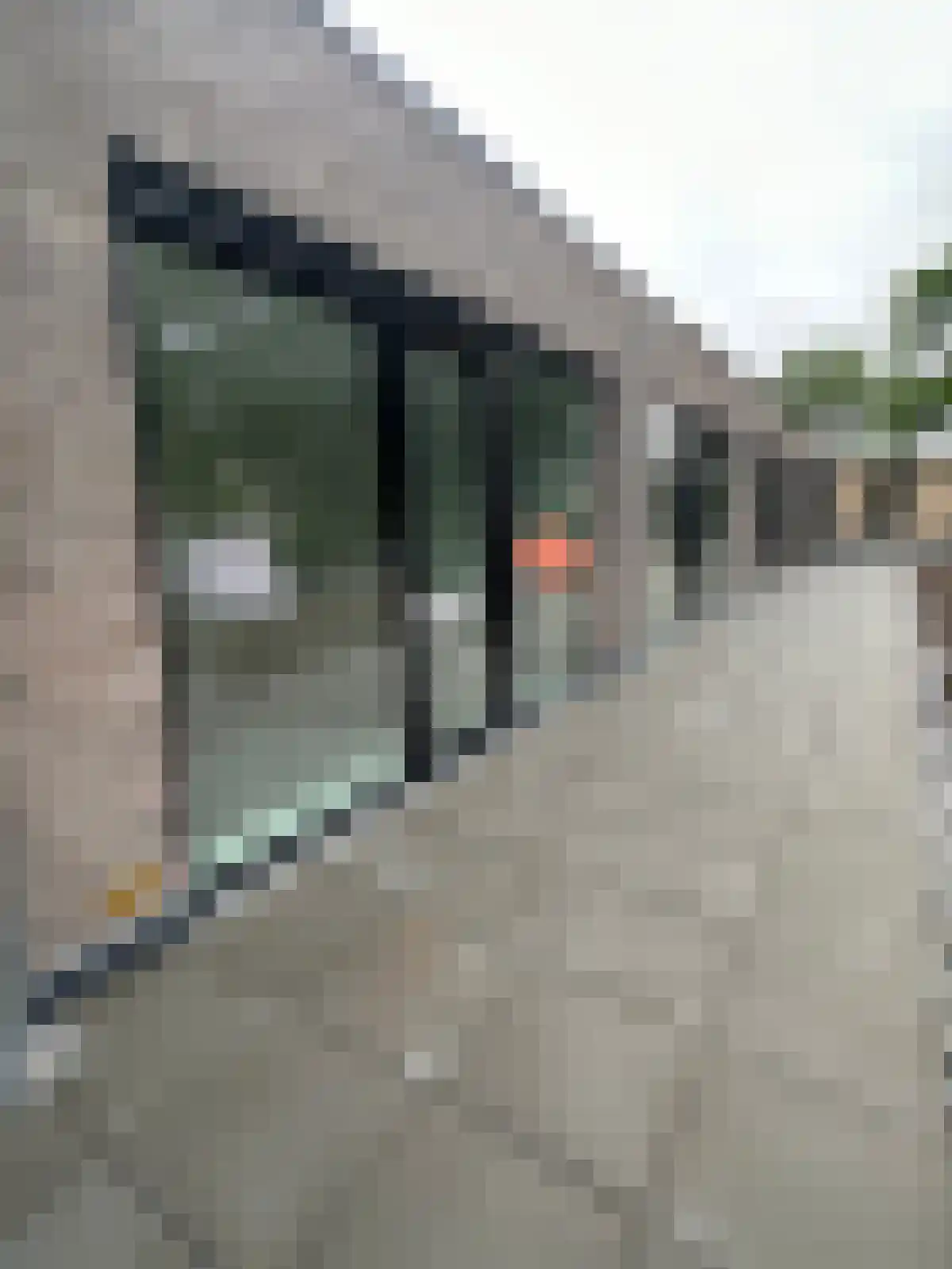 Generaal Bothastraat Eindhoven thumbnail 4