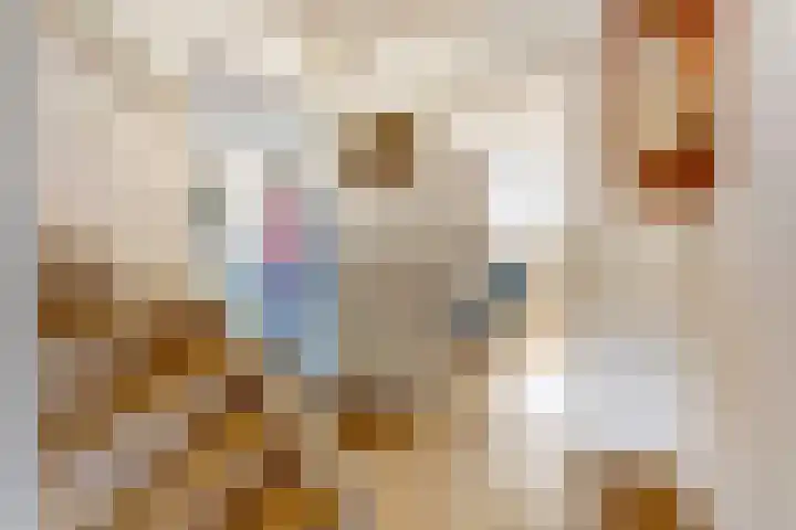 Generaal Chassélaan 16 Ede thumbnail 15
