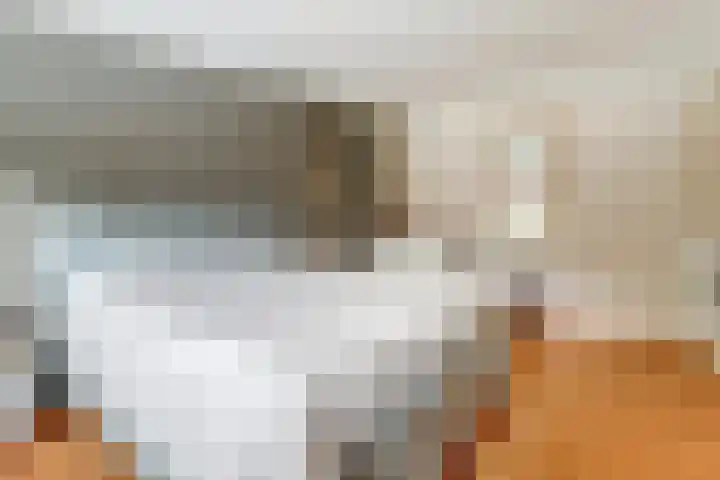 Generaal Chassélaan 16 Ede thumbnail 21