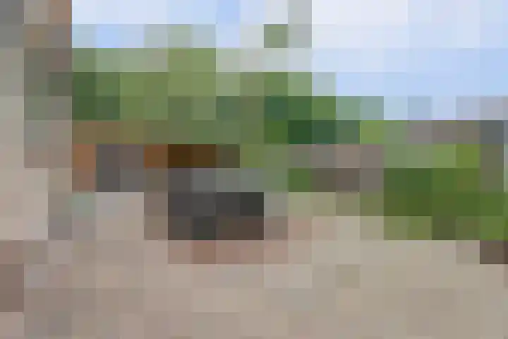 Generaal Chassélaan 16 Ede thumbnail 31