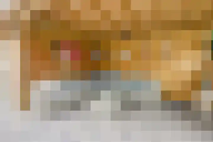 Generaal Chassélaan 16 Ede thumbnail 34