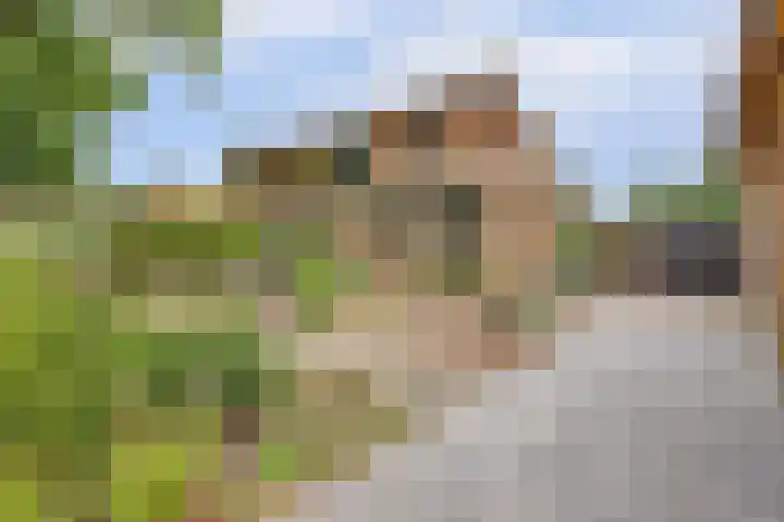 Generaal Chassélaan 16 Ede thumbnail 4