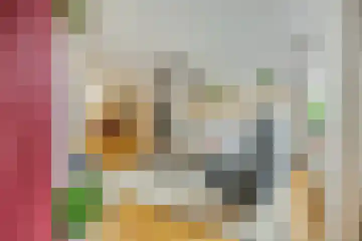 Generaal Chassélaan 8 Ede thumbnail 10