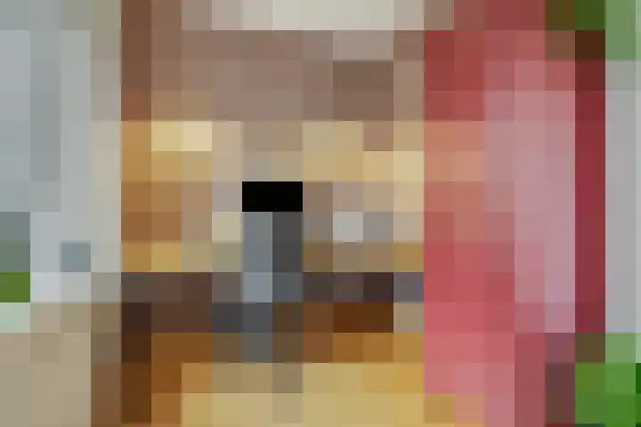Generaal Chassélaan 8 Ede thumbnail 11