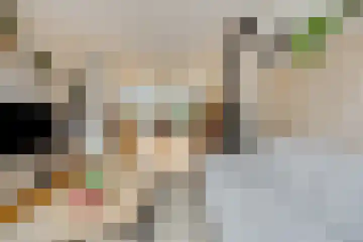 Generaal Chassélaan 8 Ede thumbnail 12