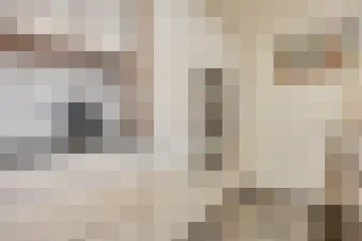 Generaal Chassélaan 8 Ede thumbnail 14