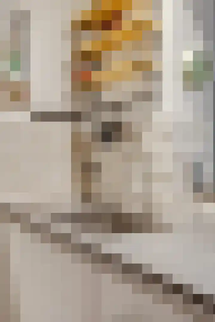 Generaal Chassélaan 8 Ede thumbnail 16