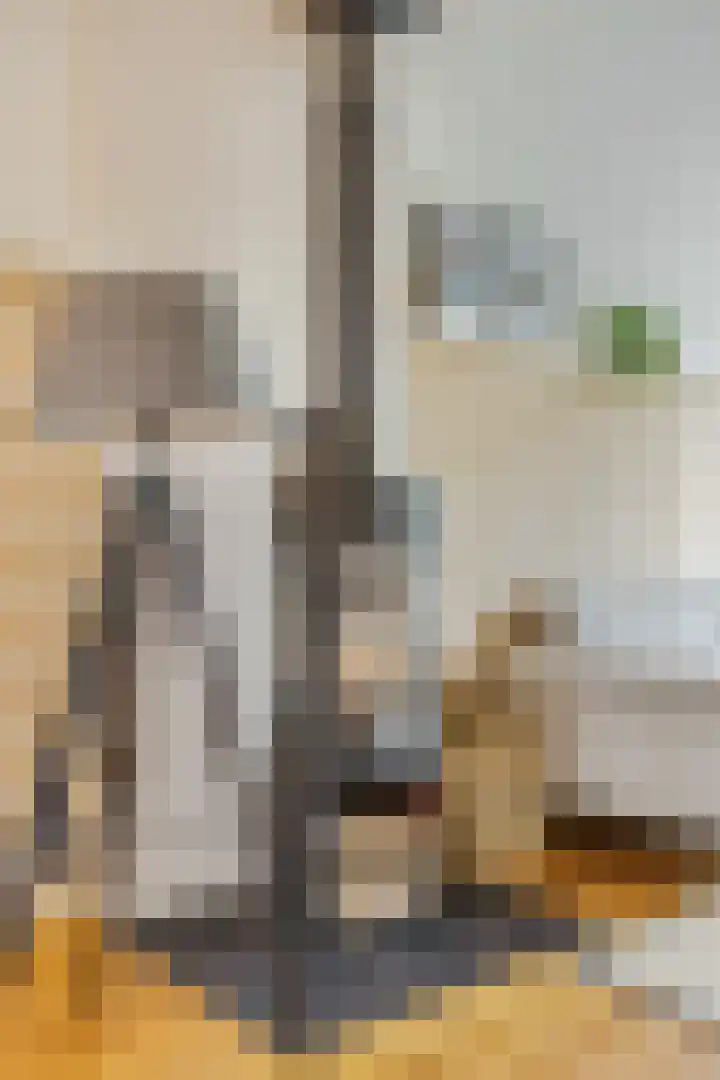 Generaal Chassélaan 8 Ede thumbnail 20