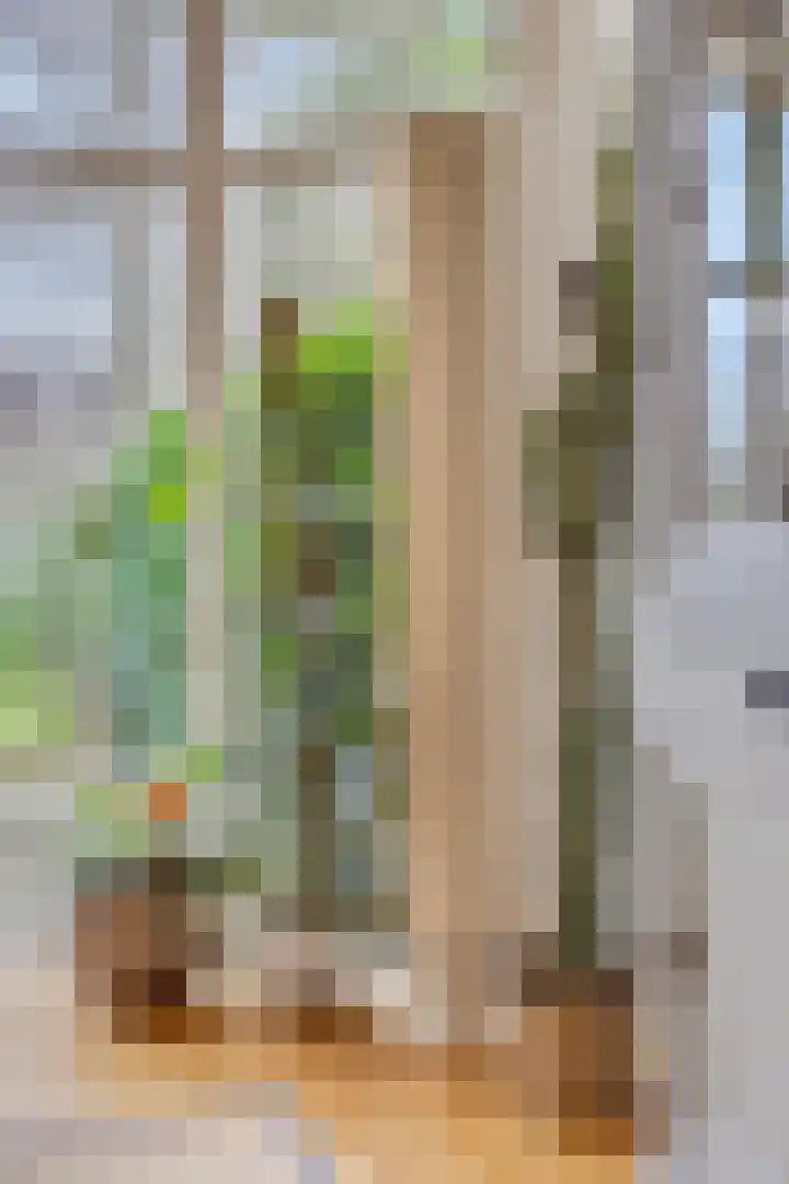 Generaal Chassélaan 8 Ede thumbnail 21