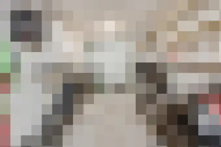 Generaal Chassélaan 8 Ede thumbnail 26
