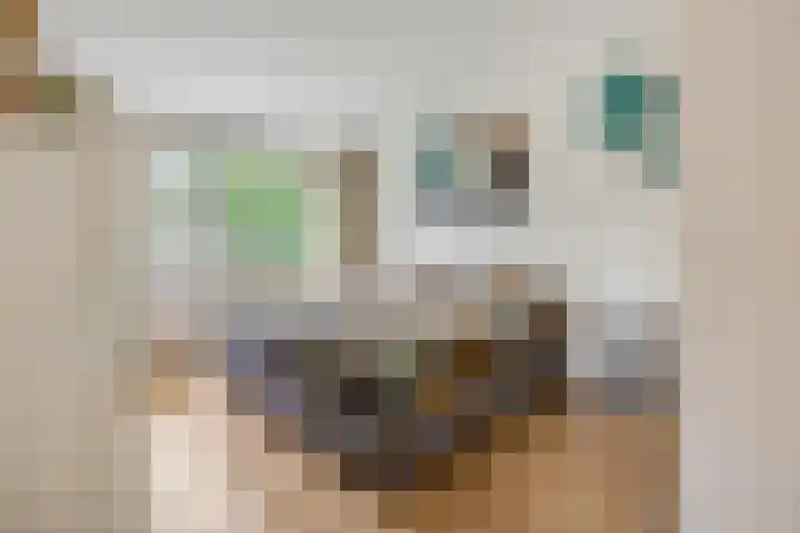 Generaal Chassélaan 8 Ede thumbnail 27