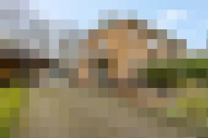 Generaal Chassélaan 8 Ede foto 3