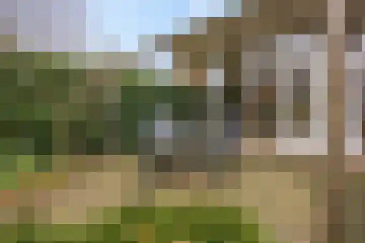 Generaal Chassélaan 8 Ede thumbnail 37