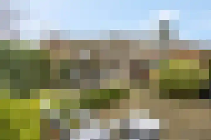 Generaal Chassélaan 8 Ede thumbnail 38