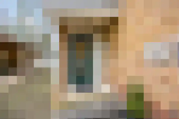 Generaal Chassélaan 8 Ede thumbnail 4