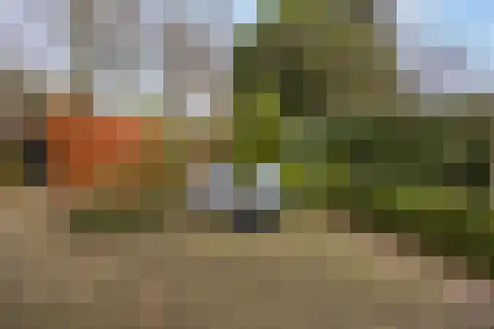 Generaal Chassélaan 8 Ede thumbnail 40