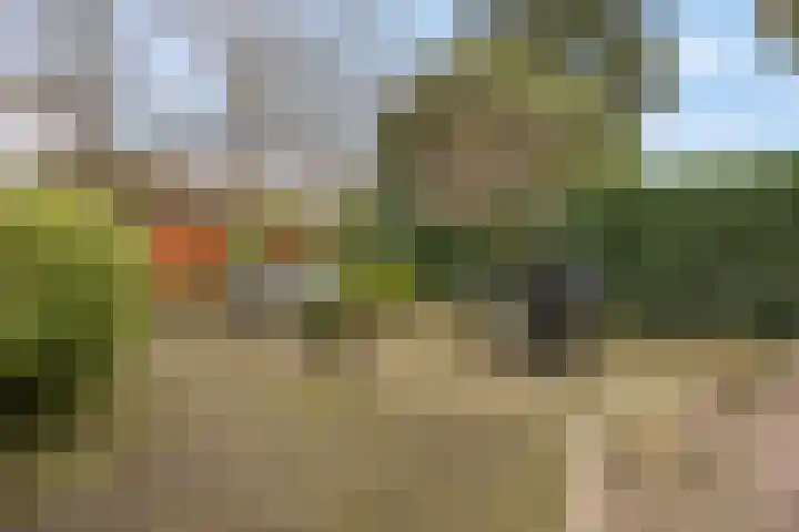 Generaal Chassélaan 8 Ede thumbnail 42