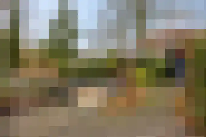 Generaal Chassélaan 8 Ede thumbnail 45