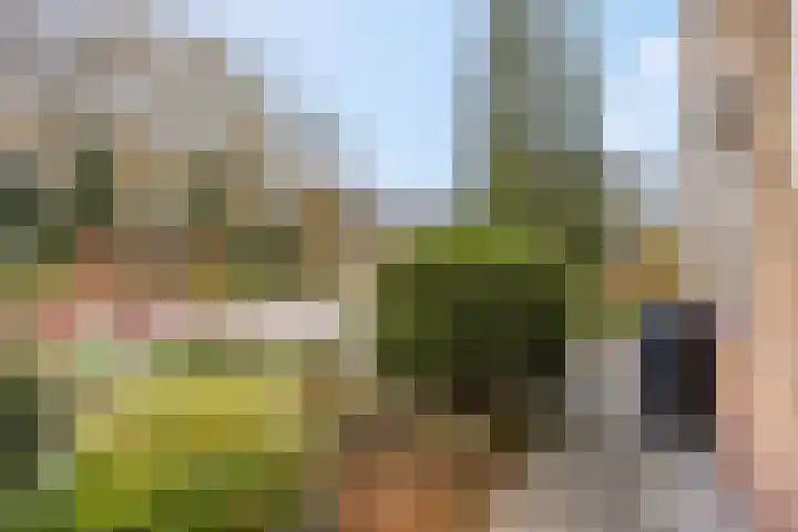 Generaal Chassélaan 8 Ede thumbnail 51