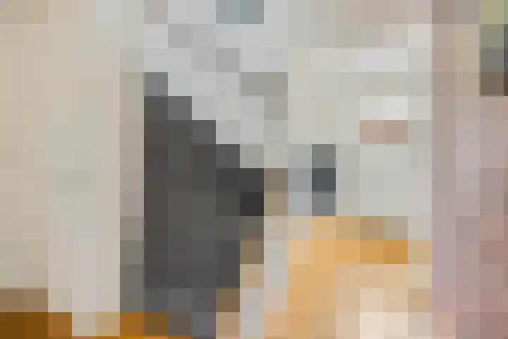 Generaal Chassélaan 8 Ede thumbnail 7
