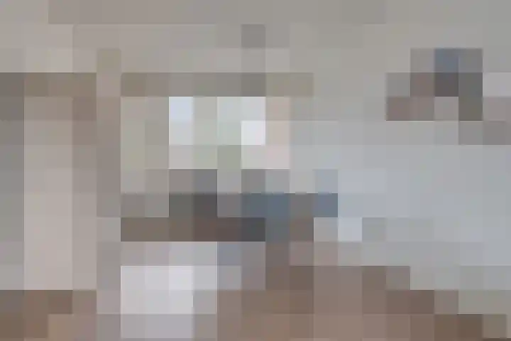Generaal Coenderslaan 31 Eindhoven thumbnail 15