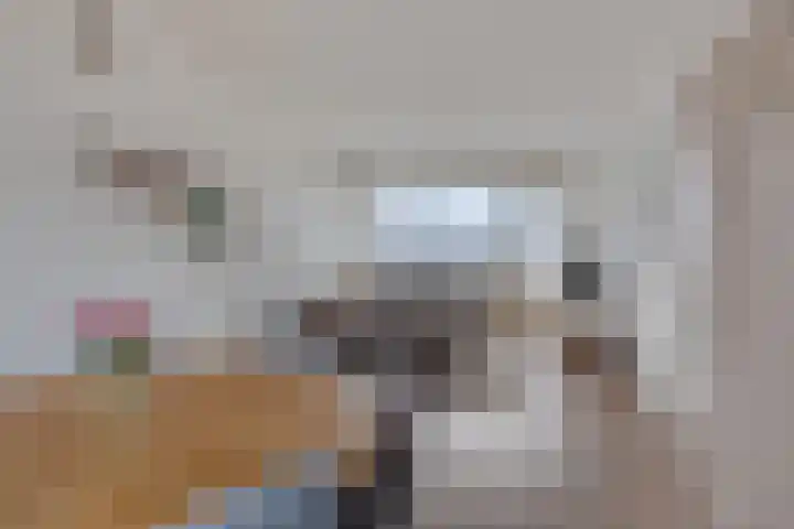 Generaal Coenderslaan 31 Eindhoven thumbnail 16