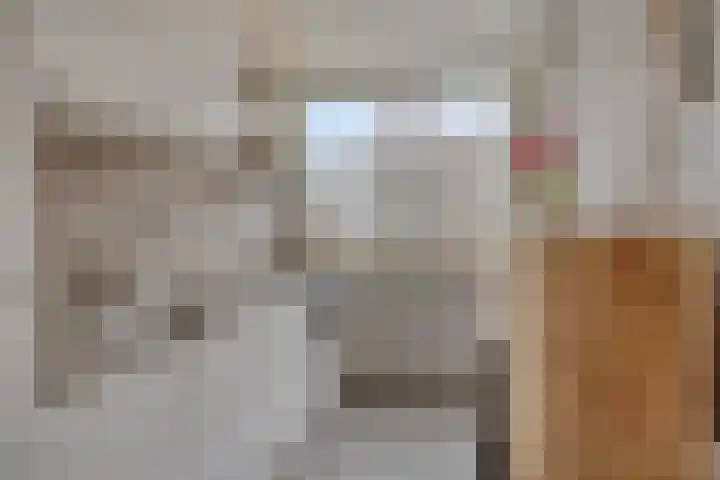 Generaal Coenderslaan 31 Eindhoven thumbnail 18
