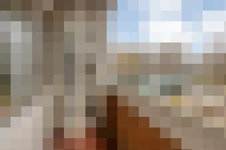 Generaal Coenderslaan 31 Eindhoven thumbnail 23