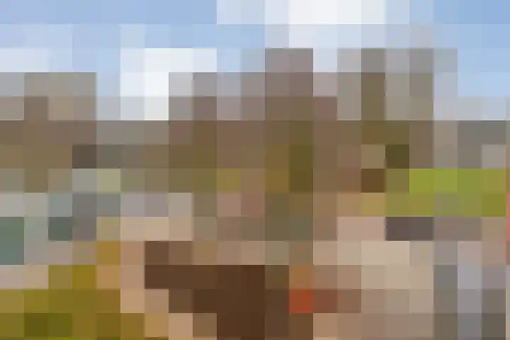 Generaal Coenderslaan 31 Eindhoven thumbnail 37