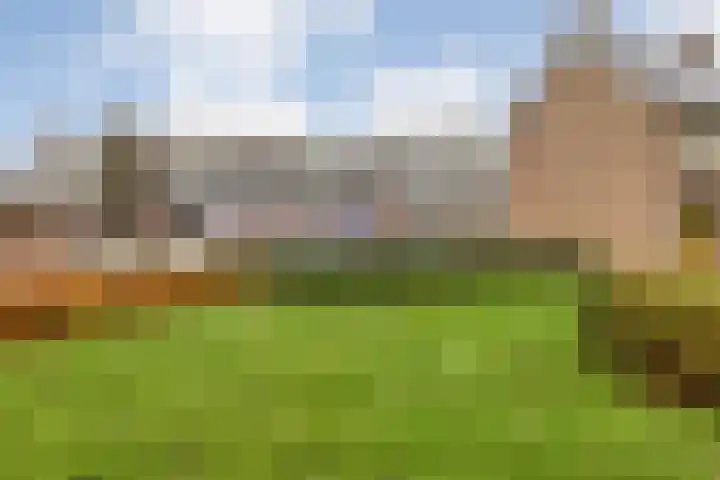Generaal Coenderslaan 31 Eindhoven thumbnail 39
