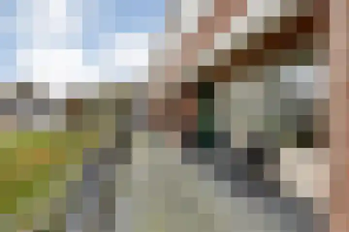 Generaal Coenderslaan 31 Eindhoven thumbnail 8