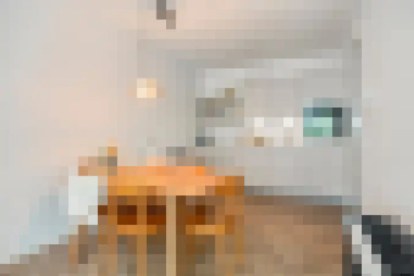 Generaal Coenderslaan 59 01 Eindhoven thumbnail 24