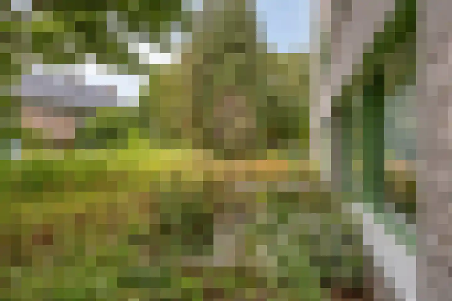 Generaal Coenderslaan 59 01 Eindhoven thumbnail 31