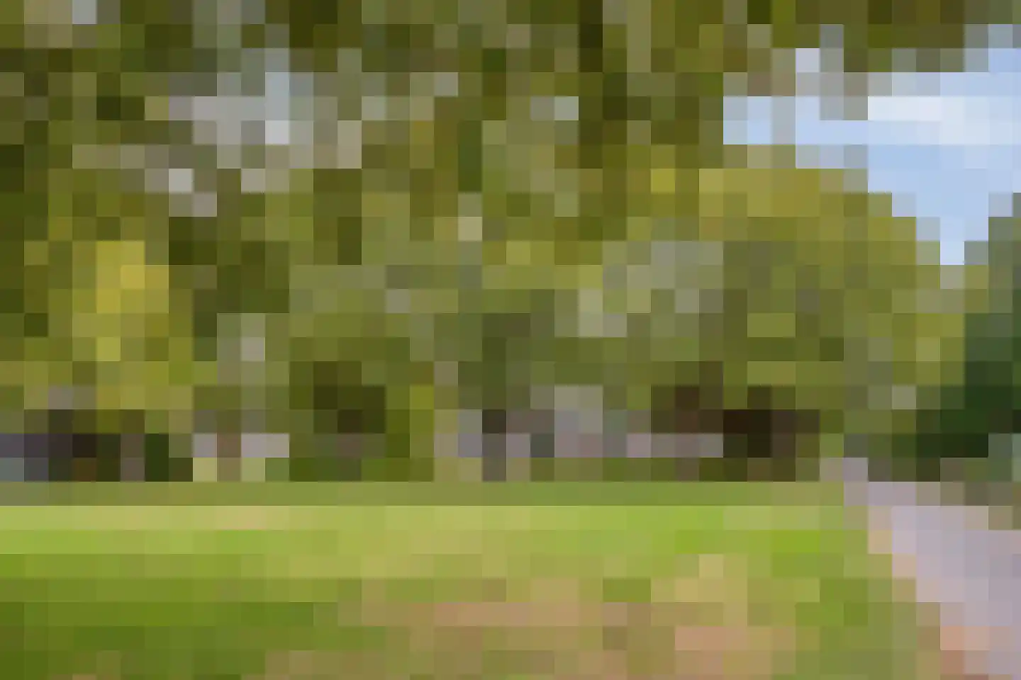 Generaal Coenderslaan 59 01 Eindhoven thumbnail 33