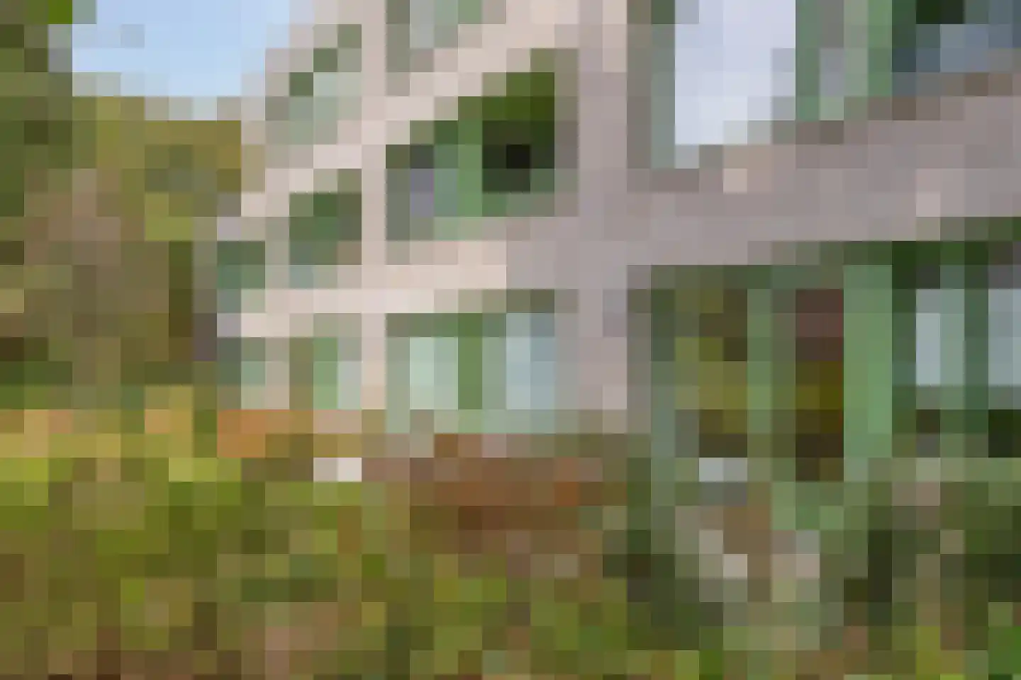 Generaal Coenderslaan 59 01 Eindhoven thumbnail 5