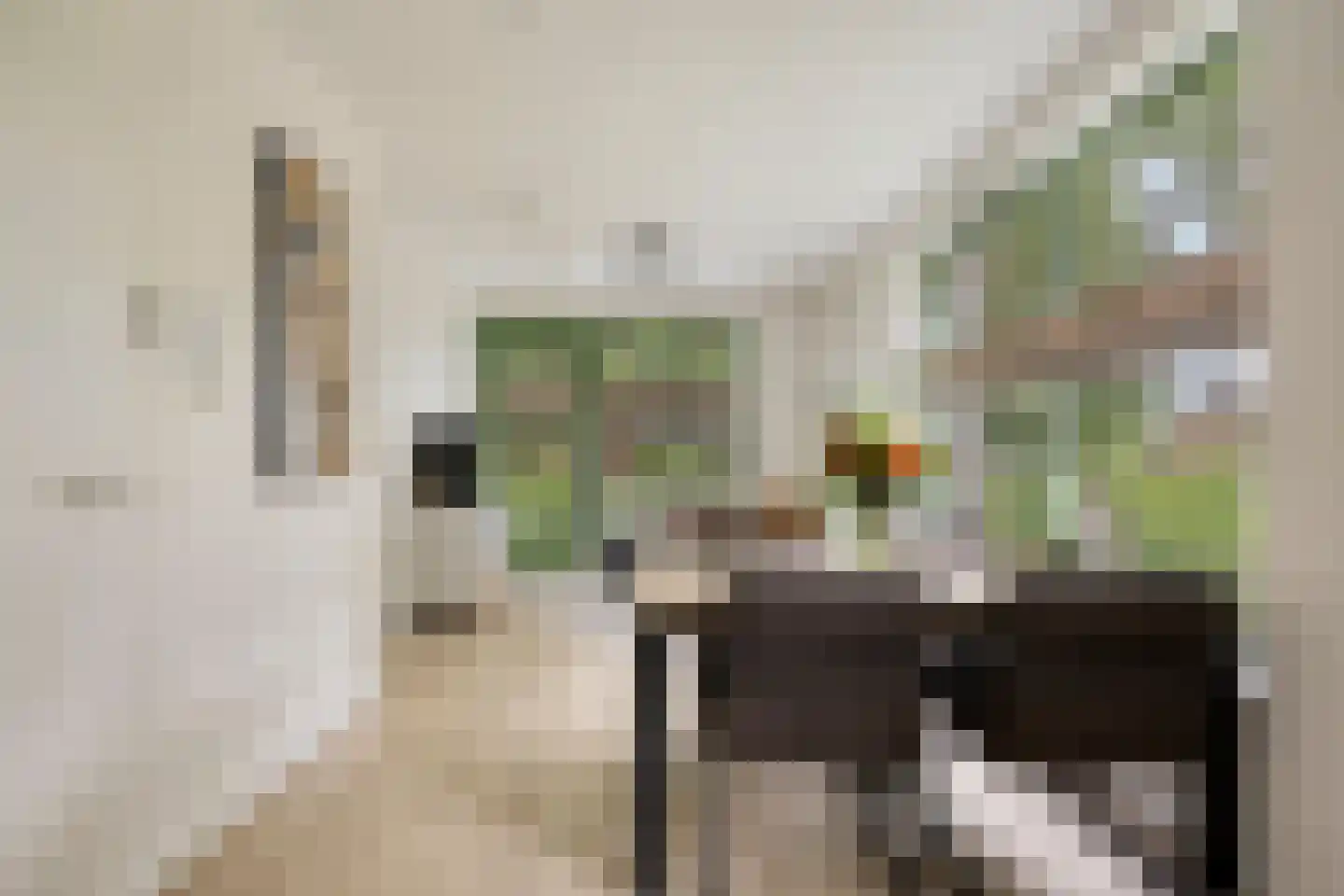 Generaal Coenderslaan 59 07 Eindhoven thumbnail 21