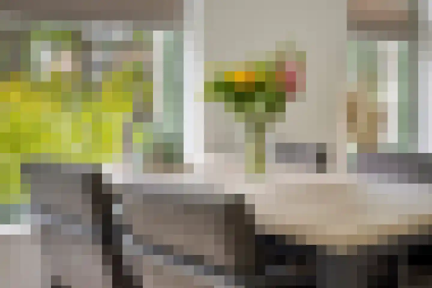 Generaal Coenderslaan 59 07 Eindhoven thumbnail 22