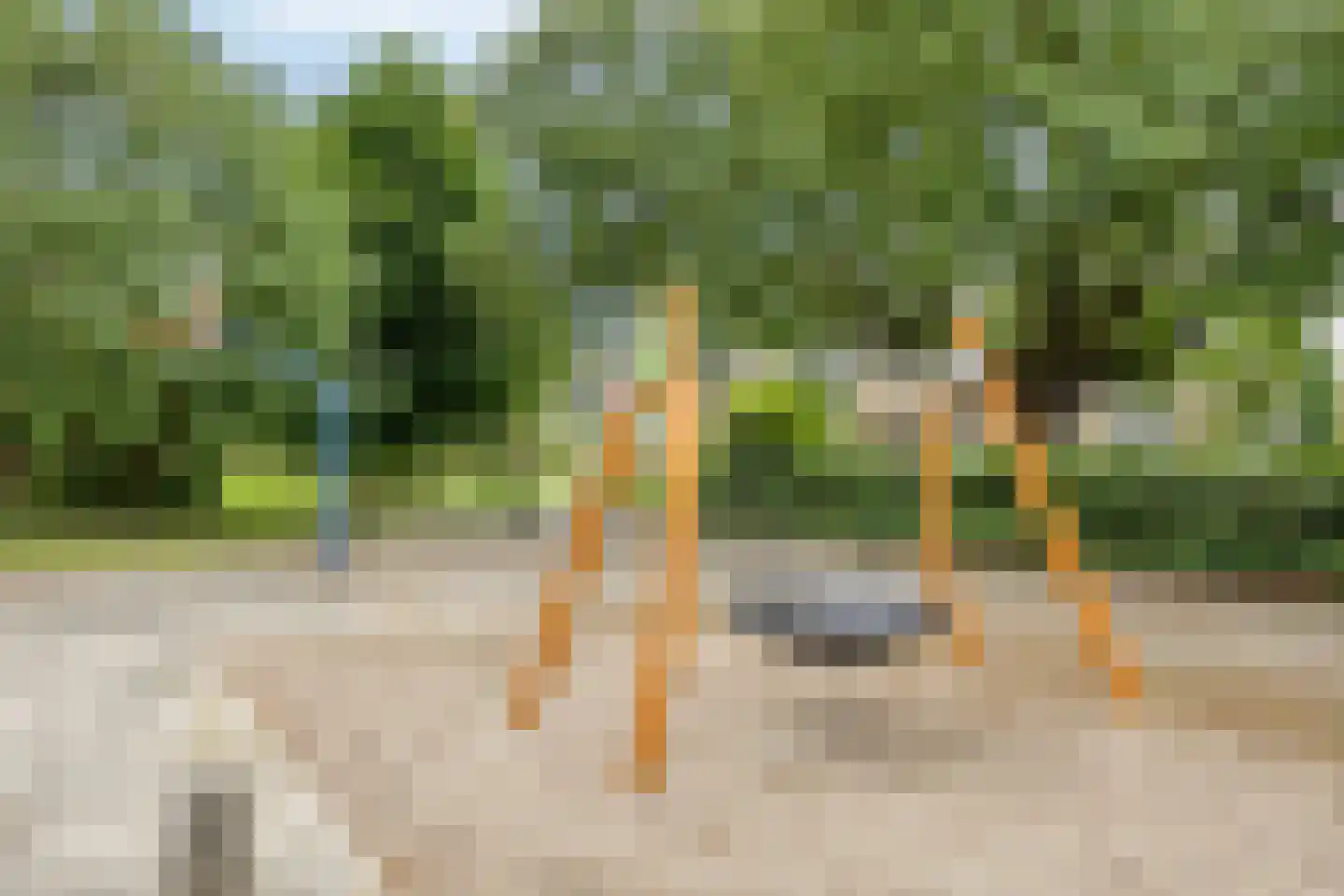 Generaal Coenderslaan 59 07 Eindhoven thumbnail 31