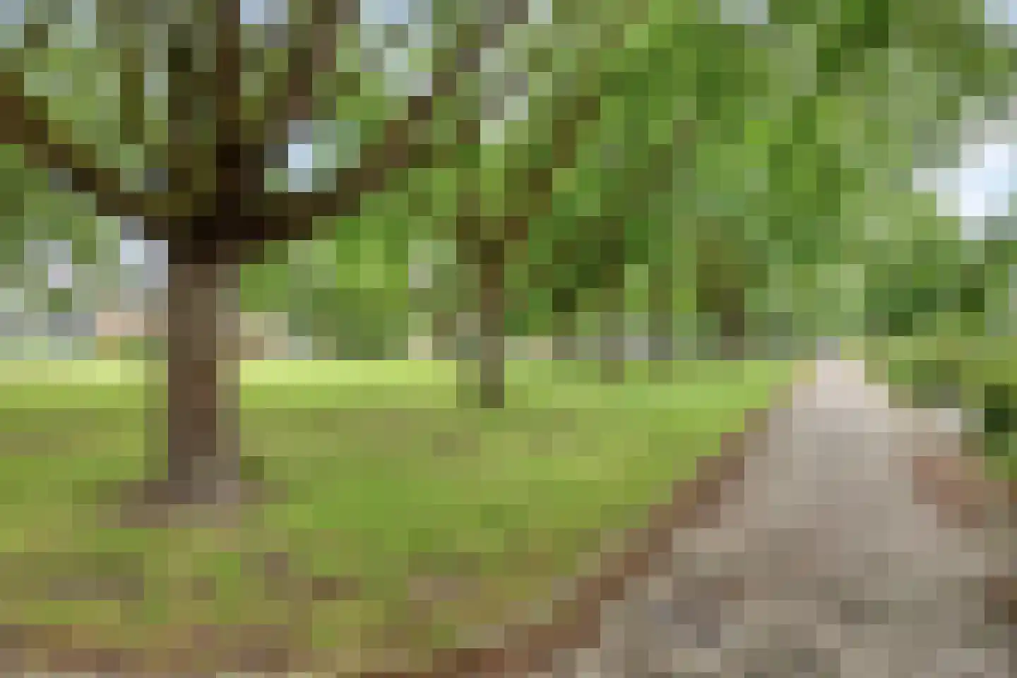 Generaal Coenderslaan 59 07 Eindhoven thumbnail 32