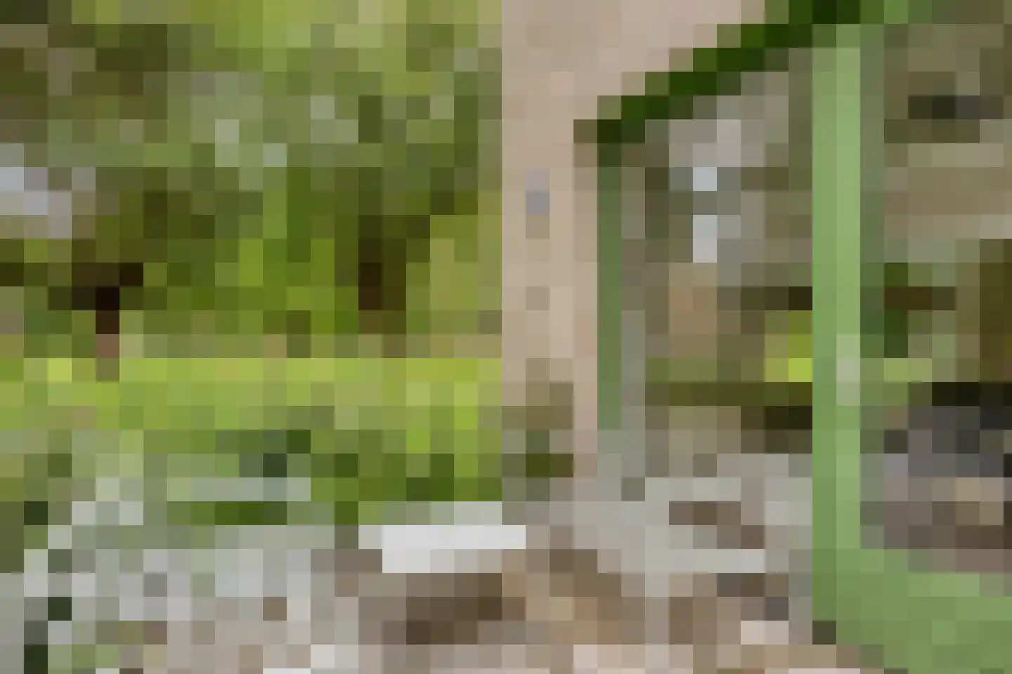 Generaal Coenderslaan 59 07 Eindhoven thumbnail 6